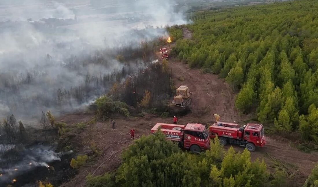 Osmaniye’nin Sumbas ilçesine bağlı Akdam köyü Evciller Mahallesi’nde çıkan anız