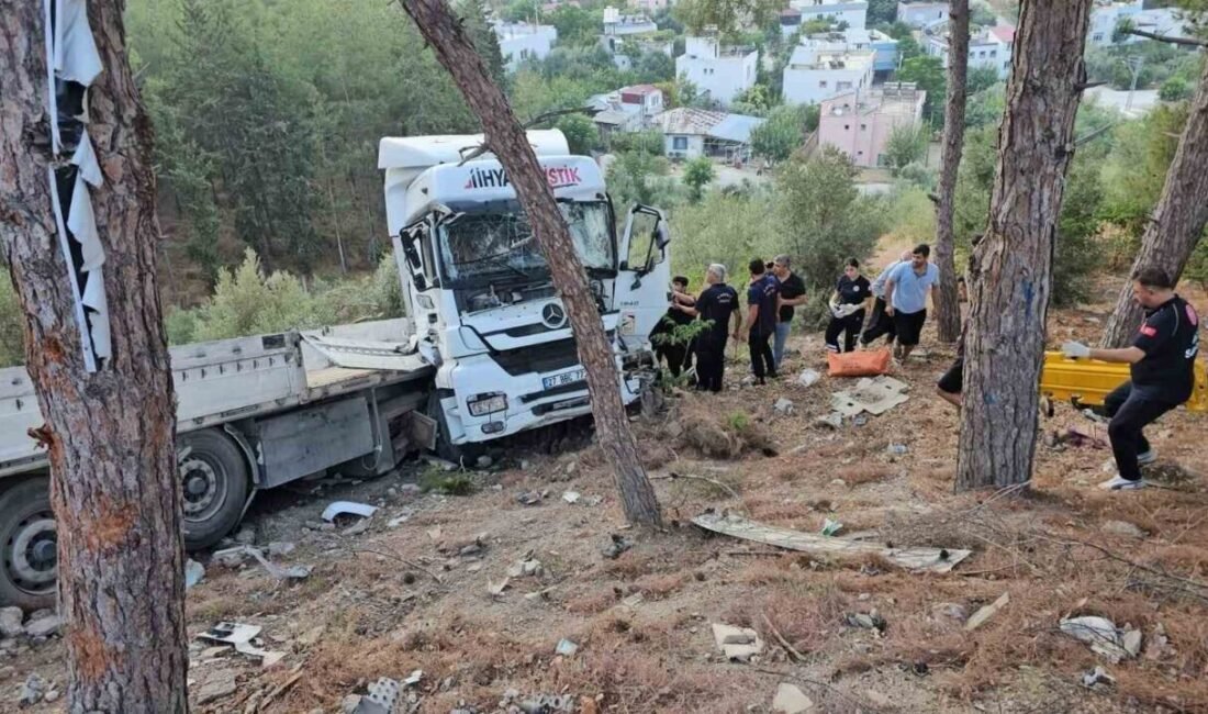 Osmaniye’nin Kadirli ilçesinde kontrolden çıkarak şarampole savrulan tırın sürücüsü yaralandı.