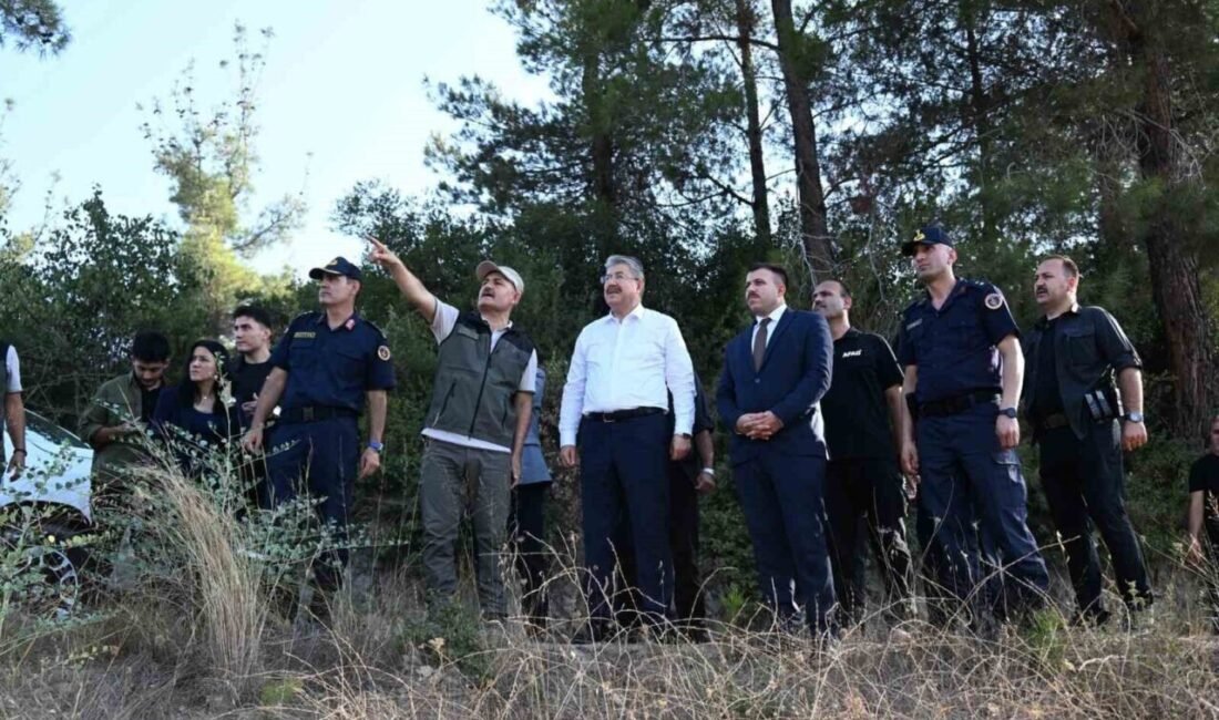 Osmaniye’nin Düziçi ilçesinde çıkan orman yangını, ekiplerin havadan ve karadan
