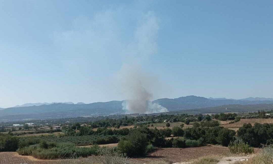 Osmaniye’nin Sumbas ilçesine bağlı Akdam köyü sınırları içerisinde bulunan ormanlık