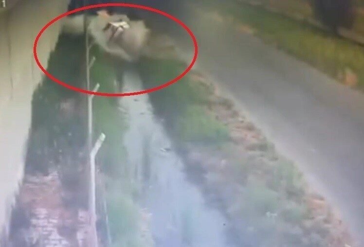 Hatay’da sürücüsünün kontrolünü kaybettiği otomobilin sulama kanalına düştüğü anlar kameraya
