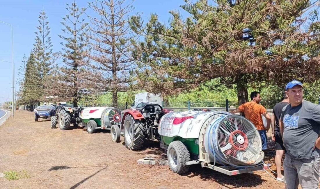 Antalya’nın Manavgat ilçesi D-400 Karayolu üzerindeki refüjlerde bulunan ağaçlar ile