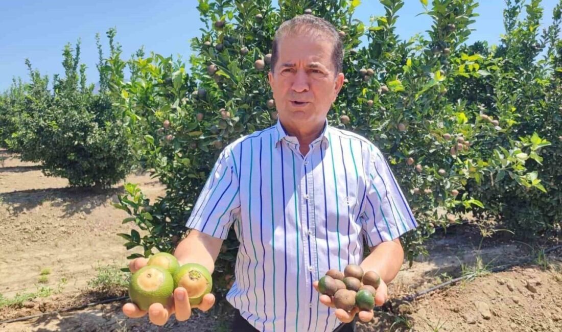 Adana’da 47,5 derece ile son 95 yılın sıcaklık rekoru kırılırken