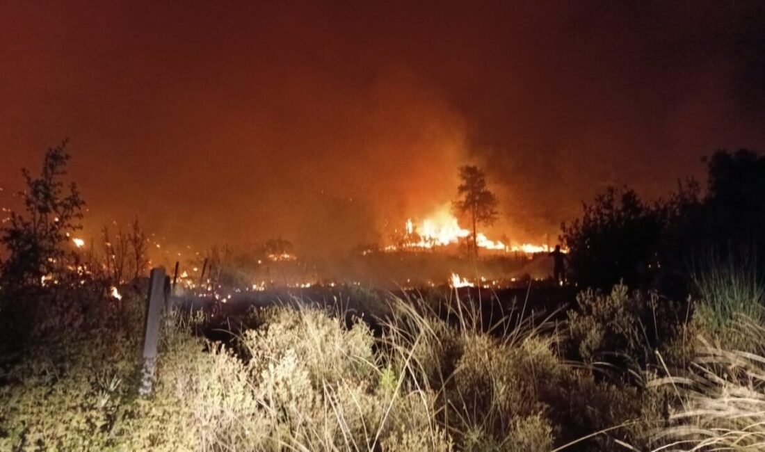 Antalya’nın Serik ilçesinde sabaha karşı çıkan orman yangını, ekiplerin 5