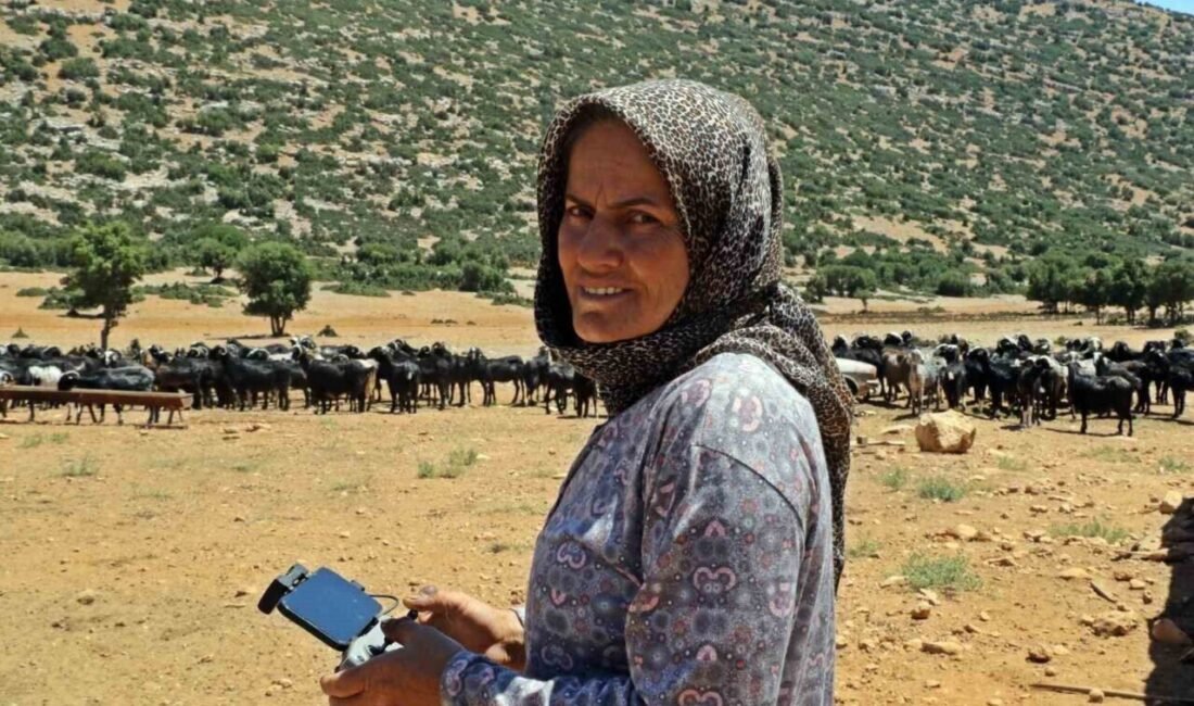 Antalya’nın Elmalı ilçesinde çobanlık yapan 51 yaşındaki Kamile Kıvrak, 200