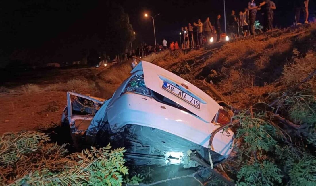 Osmaniye’nin Kadirli ilçesinde kontrolden çıkan otomobil, tarlaya uçtu. Ağaca çarpan