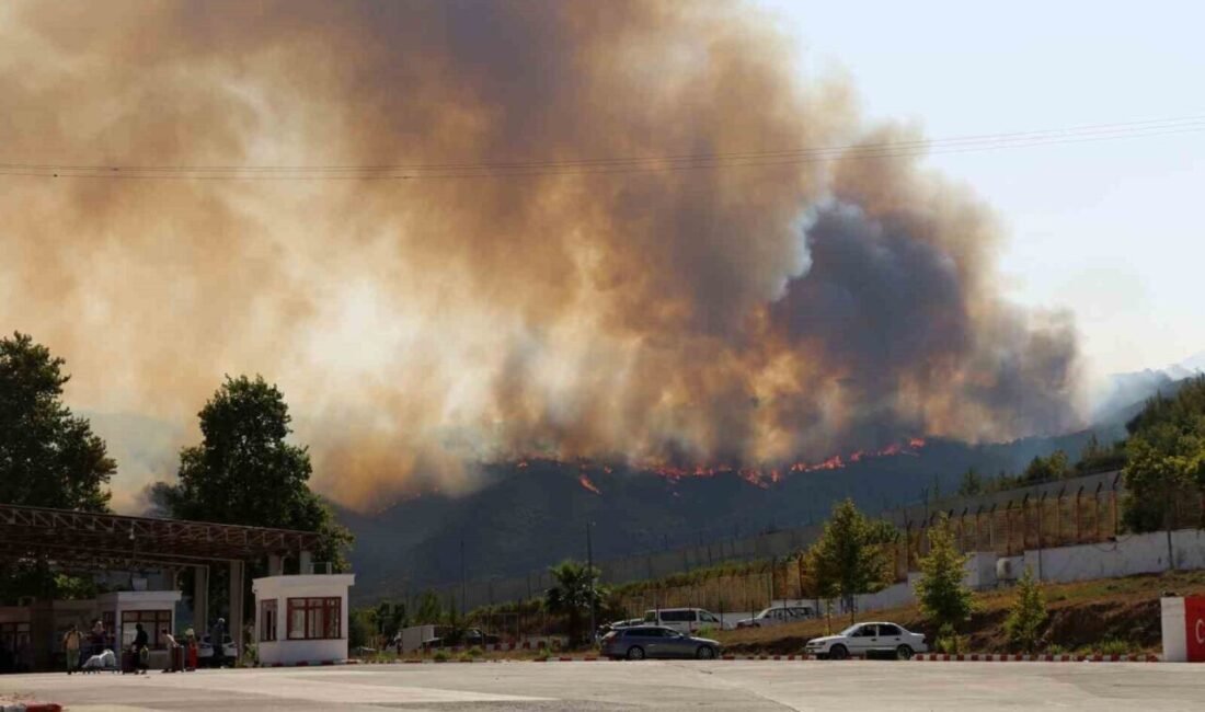 Hatay’da bulunan Yayladağı sınır kapısının bulunduğu Suriye’nin Kesep mevkiinde ormanlık