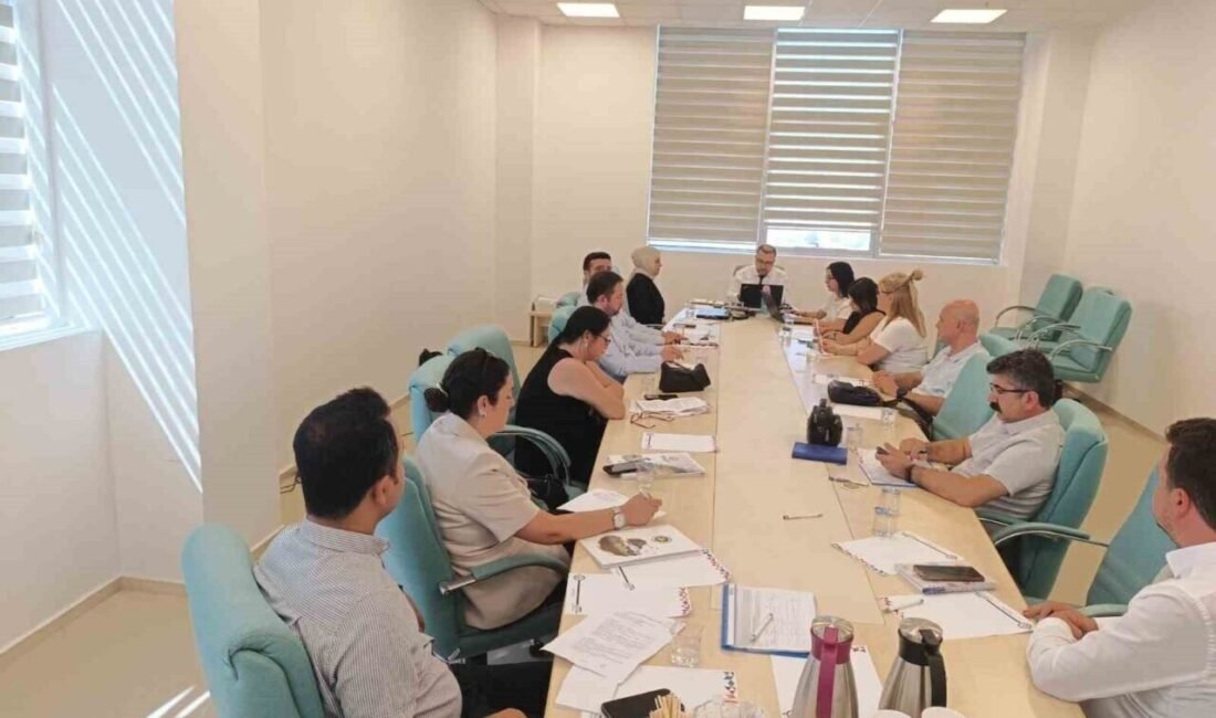 Sanayi ve Teknoloji Bakanlığı Kalkınma Ajansları Genel Müdürlüğü (KAGM) koordinasyonunda