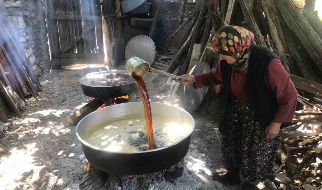 Antalya’nın İbradı ilçesine bağlı Ürünlü köyünde bağ bozumu sonrası geleneksel
