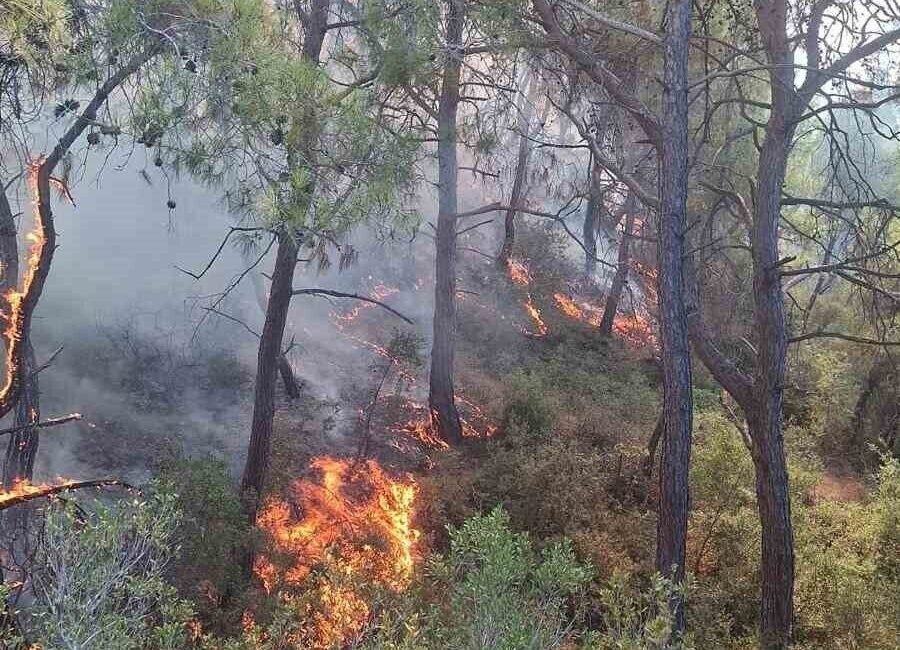 Adana’nın Sarıçam ve Karaisalı ilçelerinde çıkan orman yangınları, ekiplerin havadan