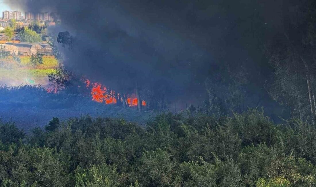 Adana’da geri dönüşüm fabrikasında yangın çıktı. İtfaiye ekipleri yangına müdahale