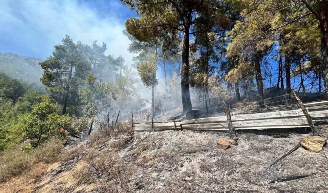 Adana’nın Feke ilçesinde ormanlık alanda yangın çıktı. Yangına ekipler havadan