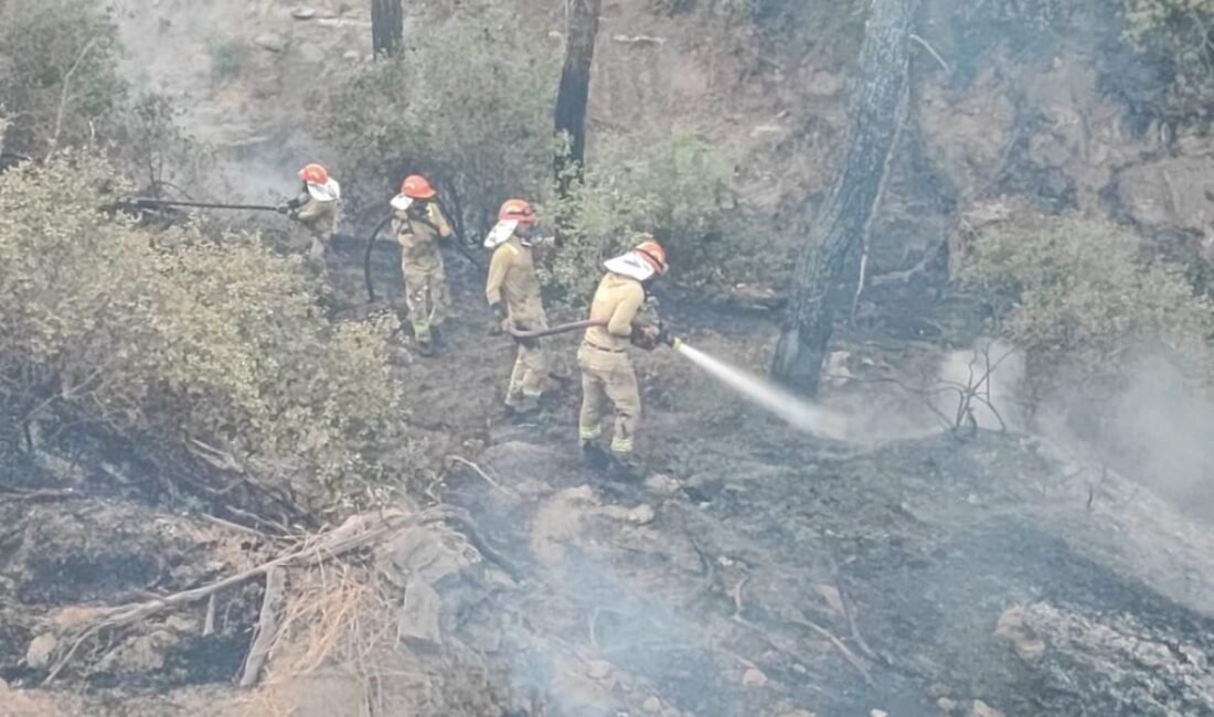 Adana’nın Sarıçam ilçesinde çıkan orman yangını, ekiplerin havadan ve karadan