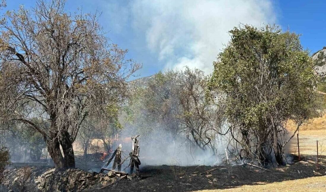 Antalya’nın Akseki ilçesinde çıkan otluk yangını, itfaiye ekiplerinin hızlı müdahalesiyle