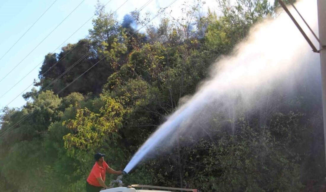 Antalya’nın Aksu ilçesinde geçtiğimiz günlerde yanan noktada bugün bir kez