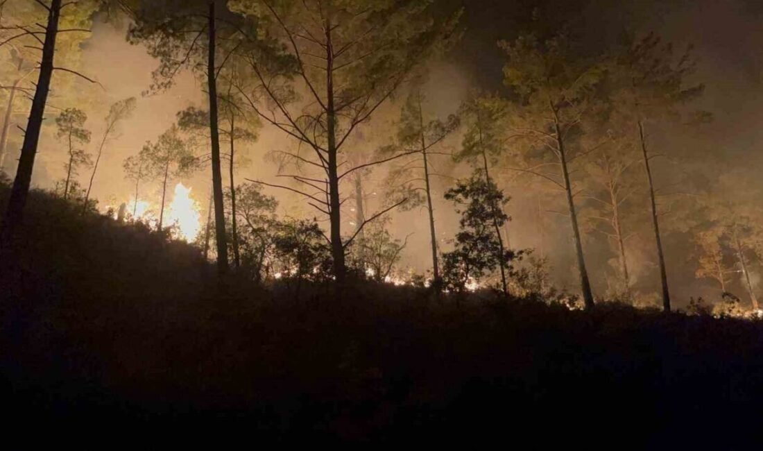 Antalya’nın Alanya ilçesinde ormanlık alanda 3 saat arayla çıkan iki
