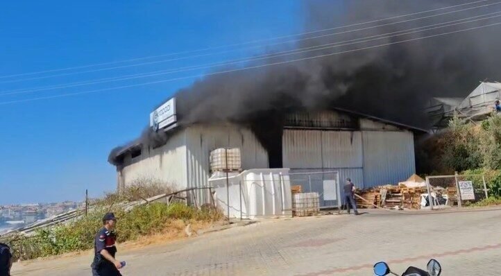 Antalya’nın Alanya ilçesi Konaklı Mahallesi’nde bir serada çıkan yangın, yanında
