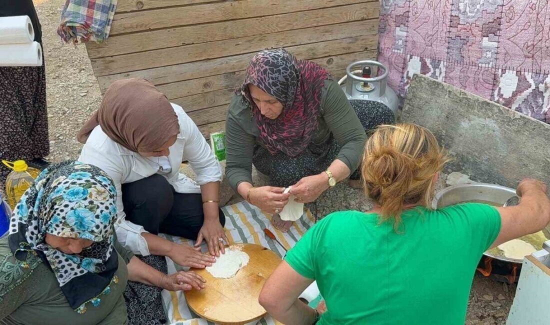 Antalya’nın Alanya ilçesinde devam eden orman yangını havadan karadan müdahaleyle
