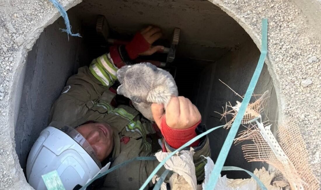 Hatay’da 5 metrelik kuyuya düşen yavru köpek, itfaiye ekipleri tarafından