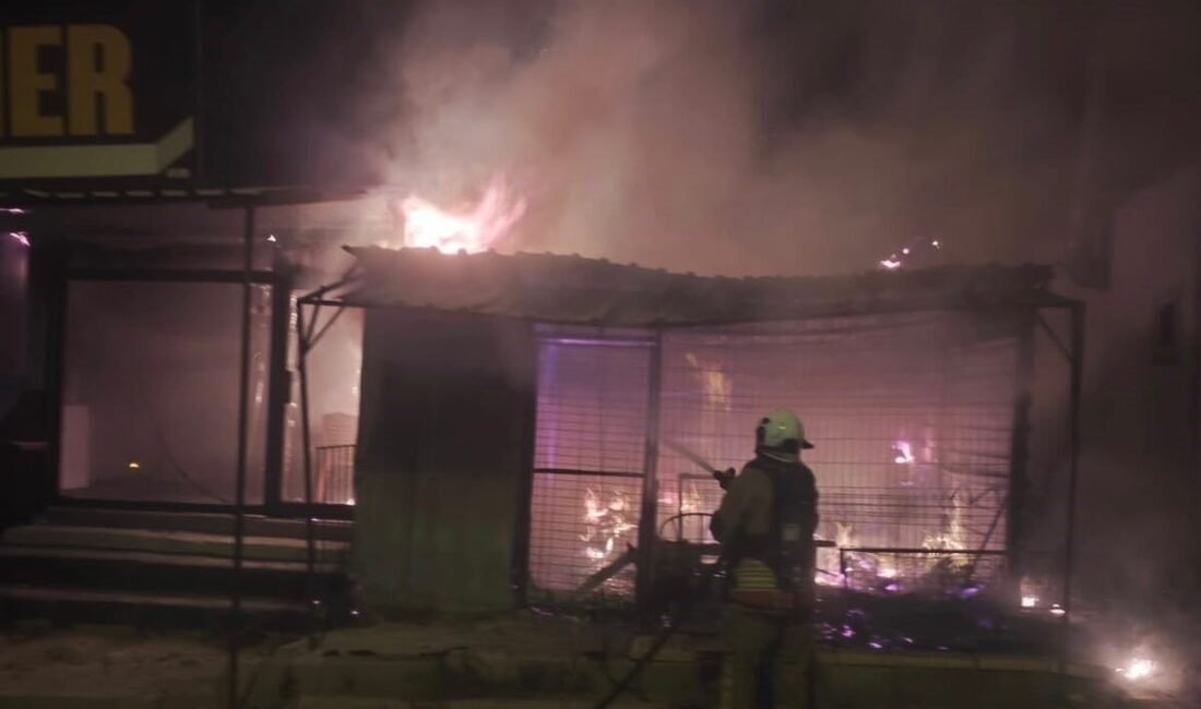 Hatay’da alevlere teslim olan kebapçı yanarak kullanılmaz hale geldi. Yangın,
