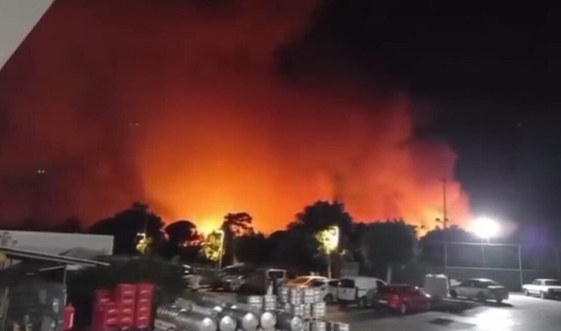 Antalya’nın Aksu ilçesinde ormanlık alanda yangın çıktı. Ekiplerin yangına müdahalesi