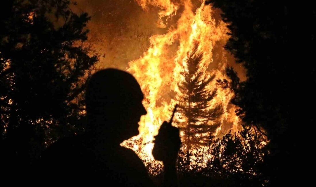 Antalya’nın Aksu ilçesinde dün akşam üç farklı noktada çıkan sazlık