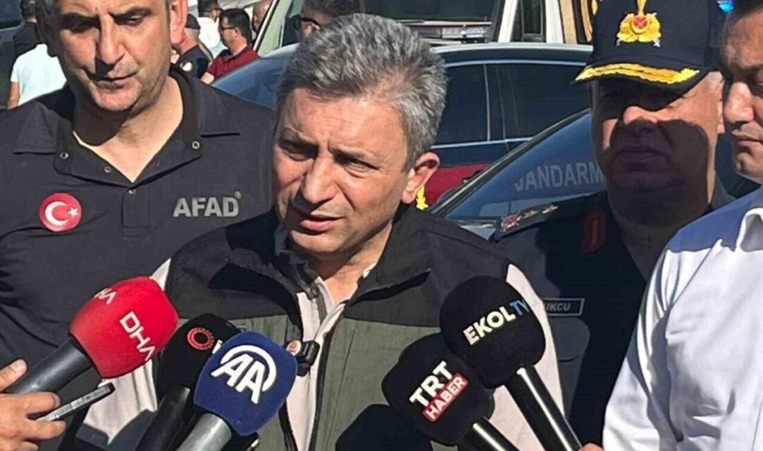 Antalya Valisi Hulusi Şahin, Alanya ilçesindeki orman yangınına ilişkin son