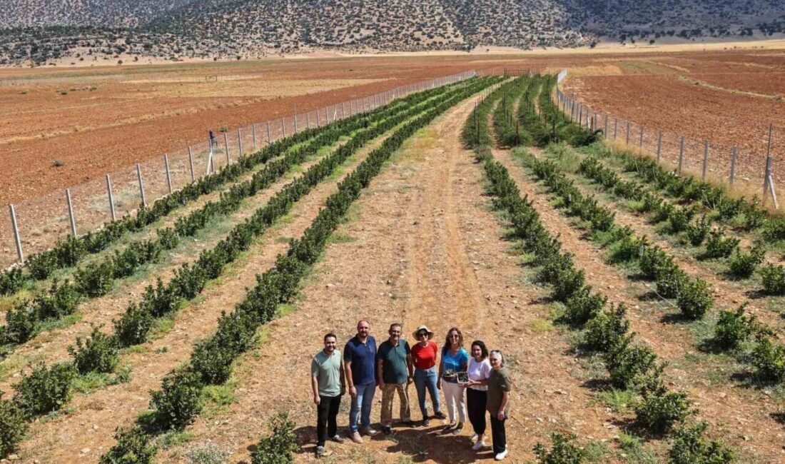 Antalya Büyükşehir Belediyesi’nin Korkuteli’nin Beğiş Mahallesi’nde hayata geçirdiği sulama suyu