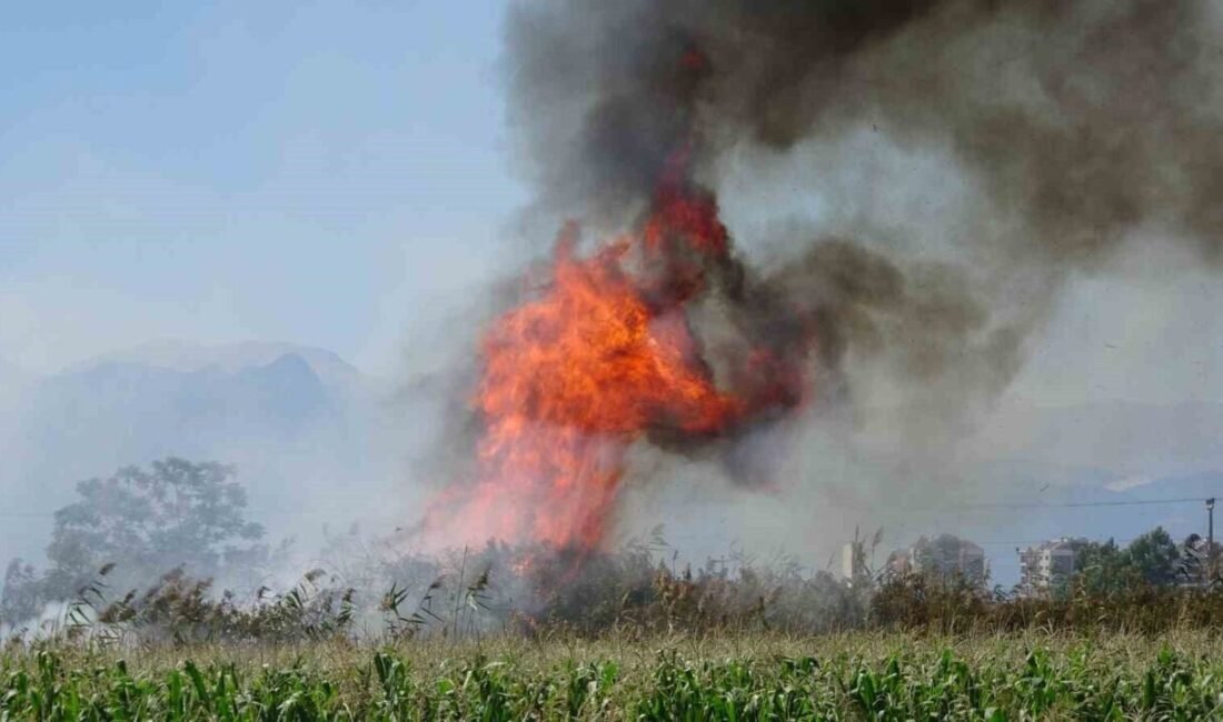 Antalya’da kargılık alanda başlayan ve rüzgarın etkisiyle hızla yayılan yangın,