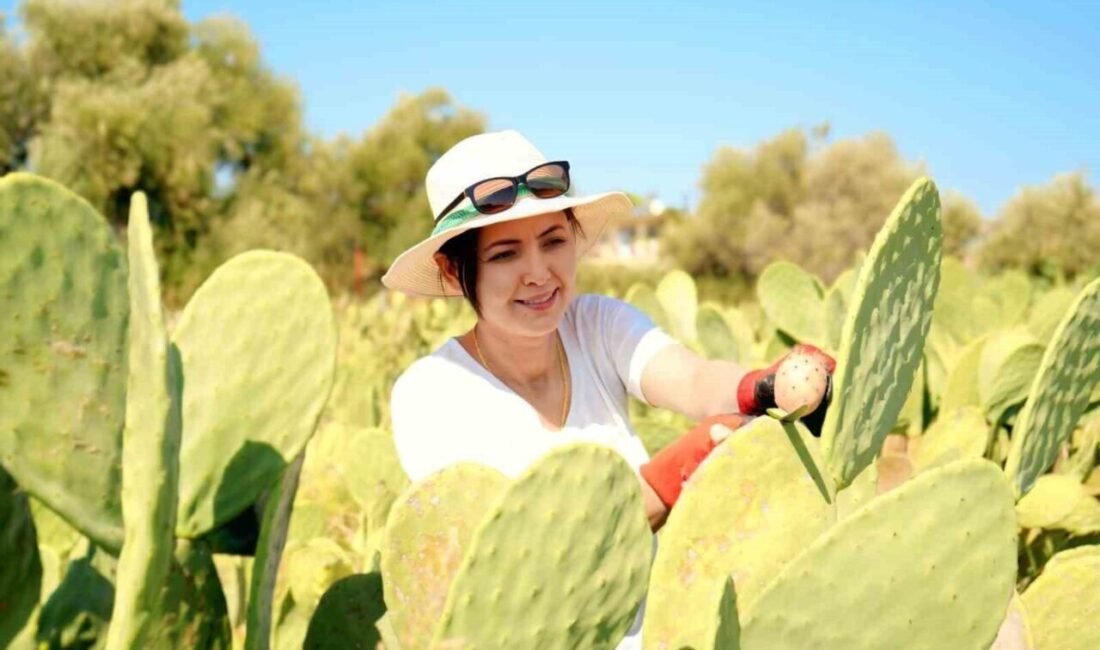 Tarımda sürdürülebilirlik ve iklim değişikliği üzerine çalışan girişimci Esra Hurmeydan,