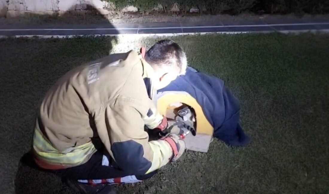 Hatay’ın Arsuz ilçesinde balık misinasına dolanan ve iğne batmasıyla yaralanan