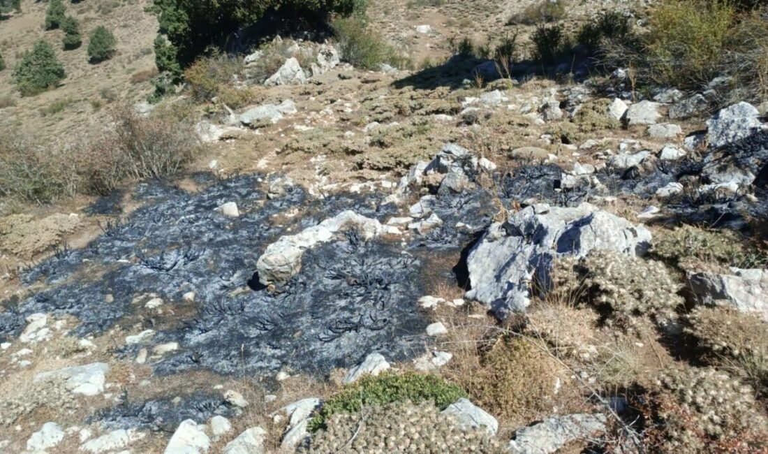 Burdur’un Altınyayla ilçesinde Çırkıcak Dağında bulunan çalılık alanda çıkan yangına