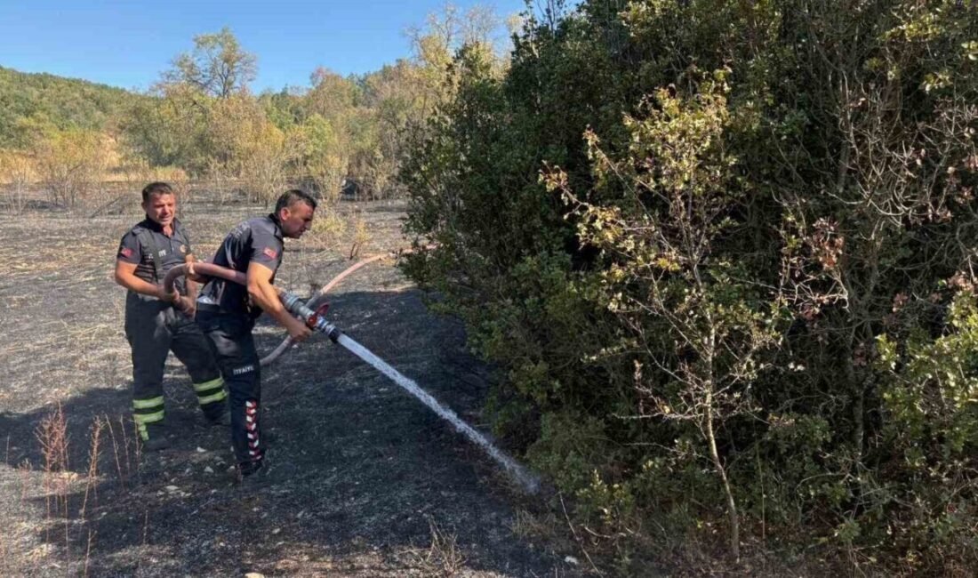 Burdur’un Ağlasun ilçesinde tarlada çıkan ve ormanlık alana sıçrayan yangın,
