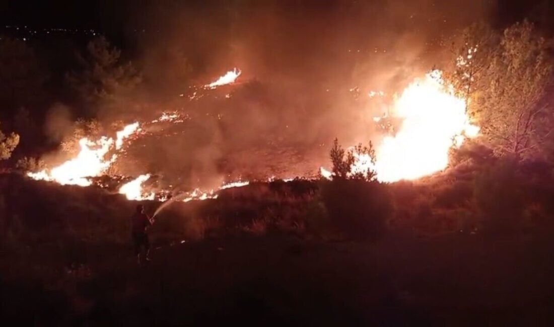 Mersin’in Silifke ilçesinde bir düğün salonu yanında davetliler oynarken çalılık