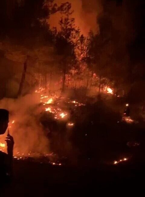 Antalya’nın Gazipaşa ilçesinde ormanlık alanda yangın çıktı. Ekiplerin yangına müdahalesi
