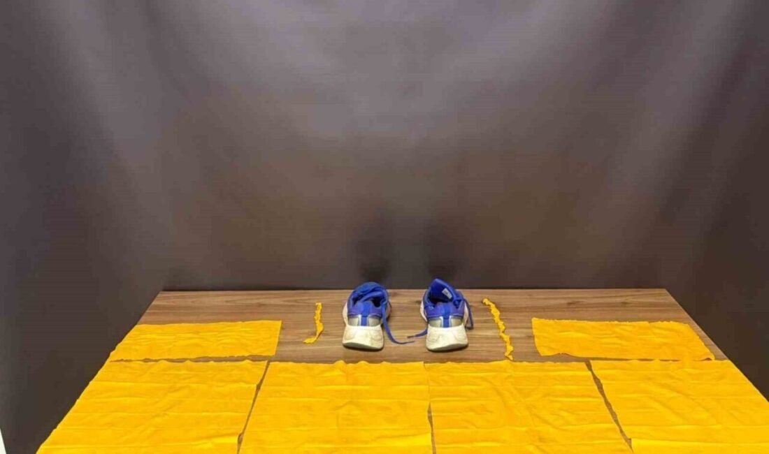 Antalya’nın Gazipaşa ilçesinde yapılan uyuşturucu operasyonda gözaltına alınan 2 şüpheli