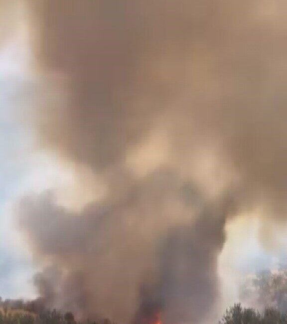Hatay’ın Altınözü ilçesinde zeytinlik alanda çıkan yangın büyümeden söndürüldü. Yangın,