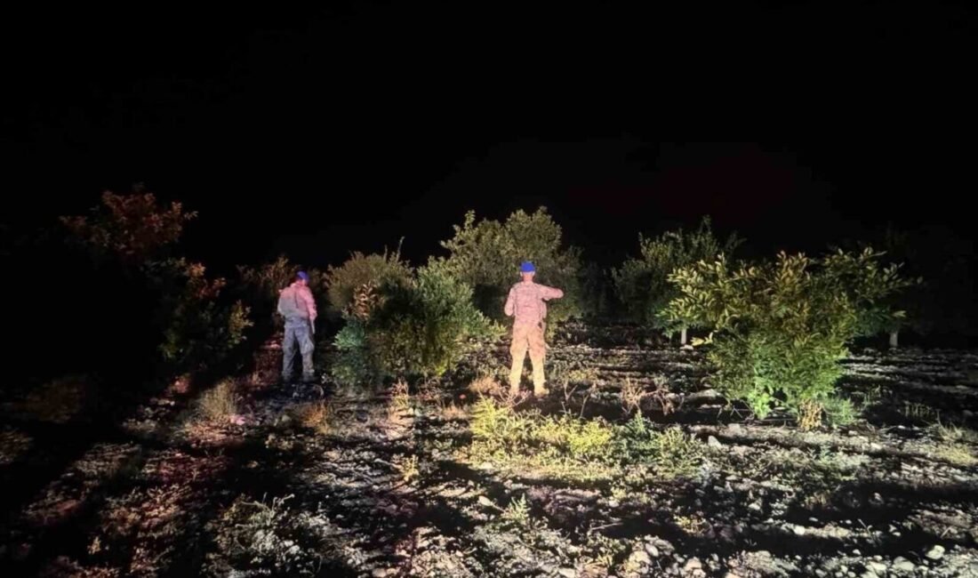 Hatay’ın Erzin ilçesinde narenciye bahçelerinde yaşanabilecek hırsızlık olaylarının önüne geçmek