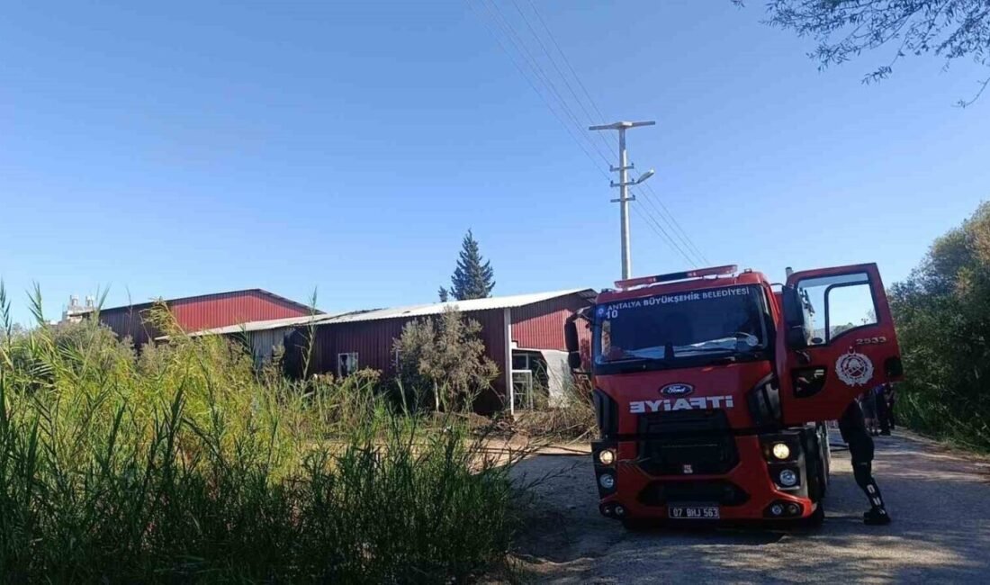 Antalya’nın Manavgat ilçesinde çıkan yangın bir gıda toptancısının deposunda büyük