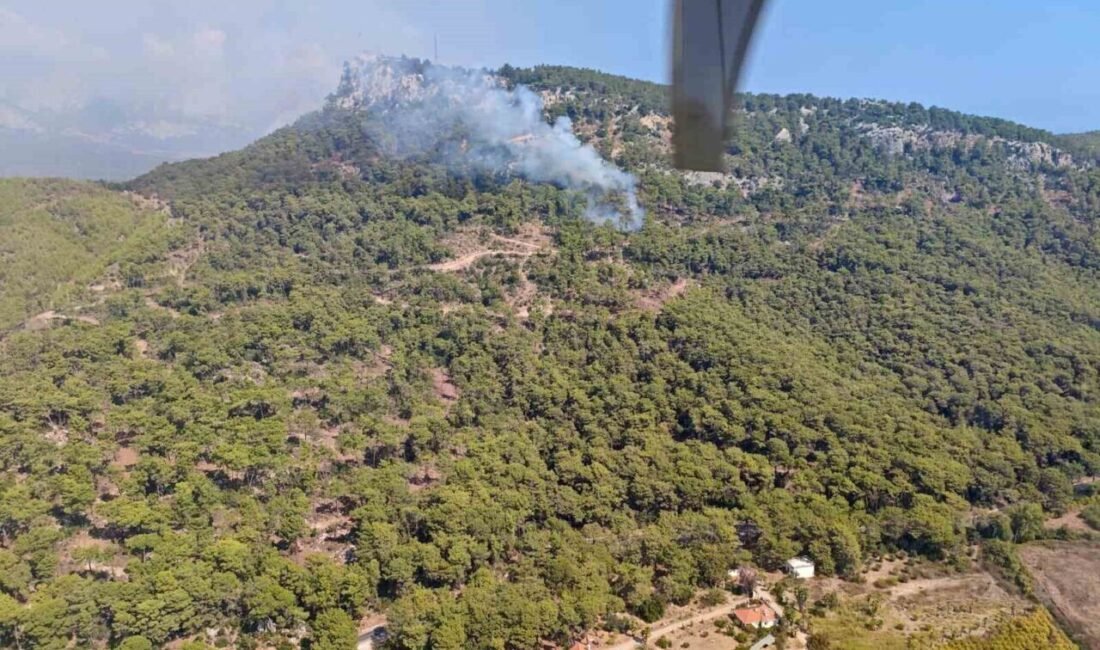 Antalya’nın Kemer ilçesi Kiriş Mahallesi’nde çıkan ormanlık alandaki yangına, ekiplerin