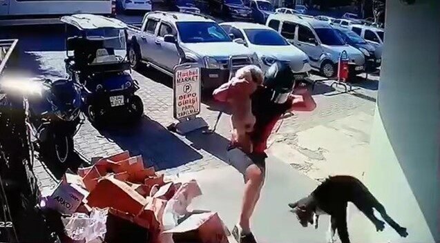 Antalya’nın Alanya ilçesinde motosikleti ve köpeğiyle iş yeri önüne gelen