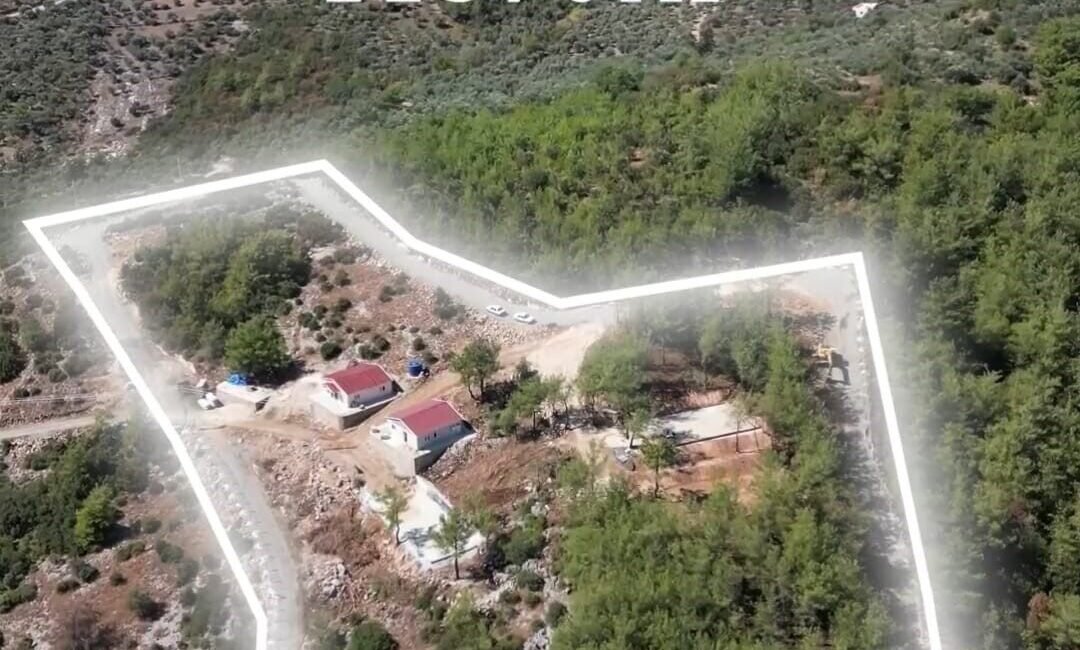 Adana’nın Kozan ilçesinde belediye tarafından hayata geçirilen modern hayvan barınağı