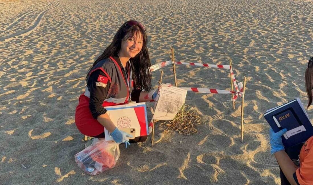 Antalya’nın Gazipaşa ilçesinde, nesli tükenme tehlikesi altında bulunan kum zambakları