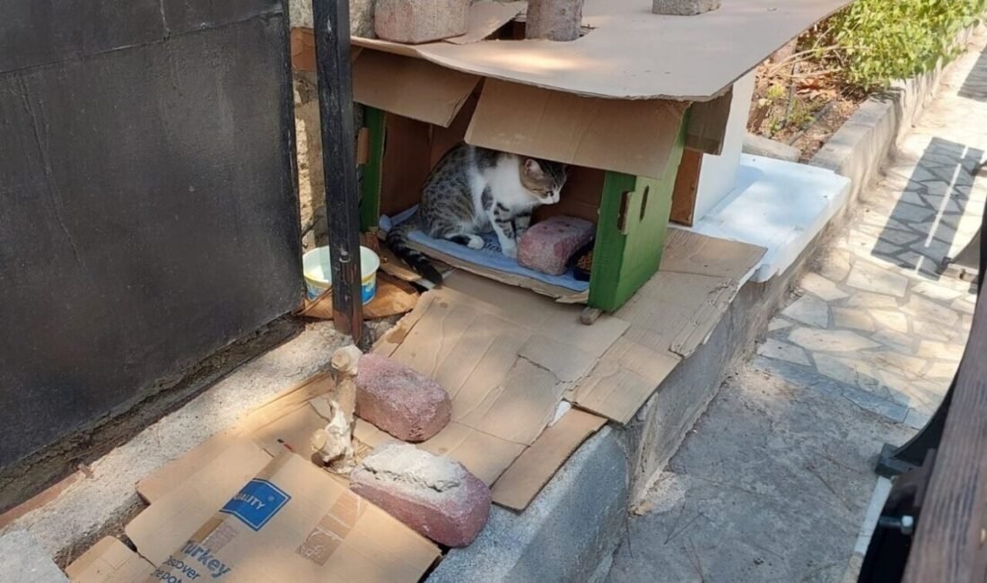 Antalya’da cami avlusunda bulunan mahalle sakinleri ve cemaatin bakımını yaptığı