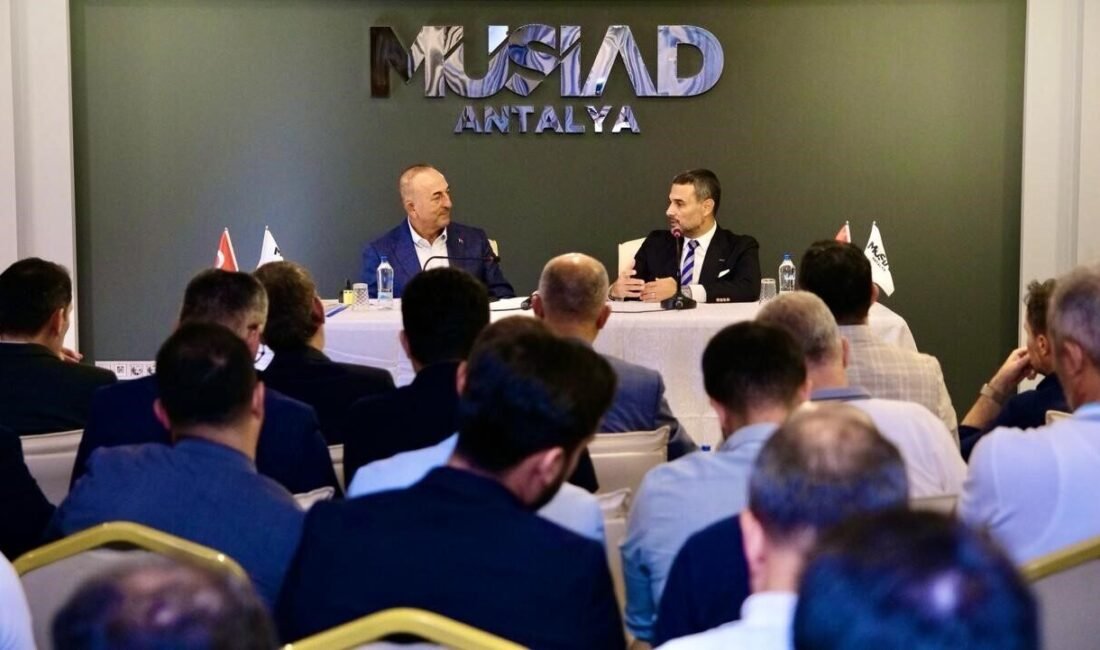 Önceki dönem Dışişleri Bakanı ve NATO PA Komisyon Başkanı Mevlüt