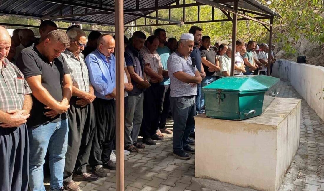 Mersin’in Erdemli ilçesinde ceviz toplarken elektrik akımına kapılıp ağır yaralanan