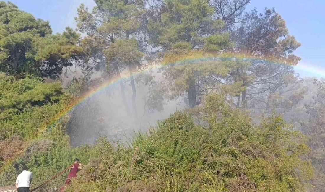 Antalya’nın Manavgat ilçesinde başlayan ve rüzgarın etkisiyle büyüyen yangın, ekiplerin