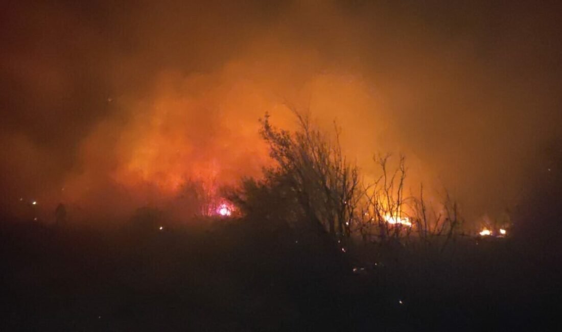 Osmaniye’nin Sumbas ilçesinde makilik alanda çıkan yangın ekiplerin müdahalesiyle büyümeden