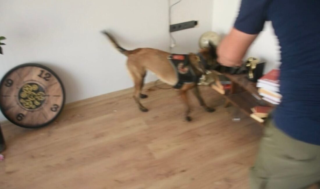 Osmaniye’de araçta ve iş yerlerinde yapılan aramalarda uyuşturucu madde ele