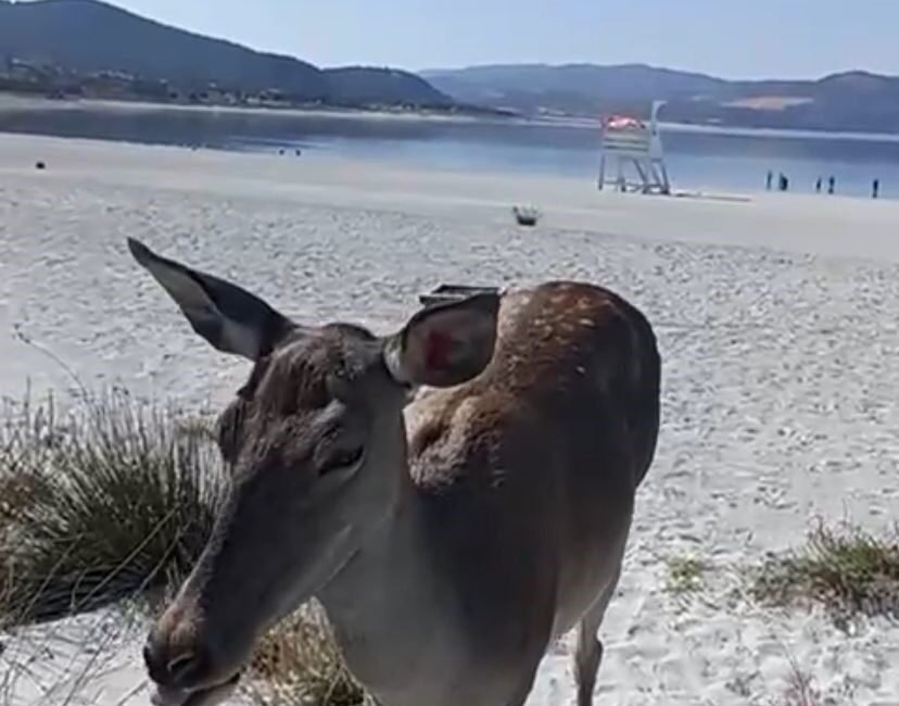Doğa Koruma ve Milli Parklar ile Tarım ve Orman Bakanlığı’nın